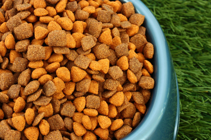 The Raw Dog Food vs. Kibble Debate